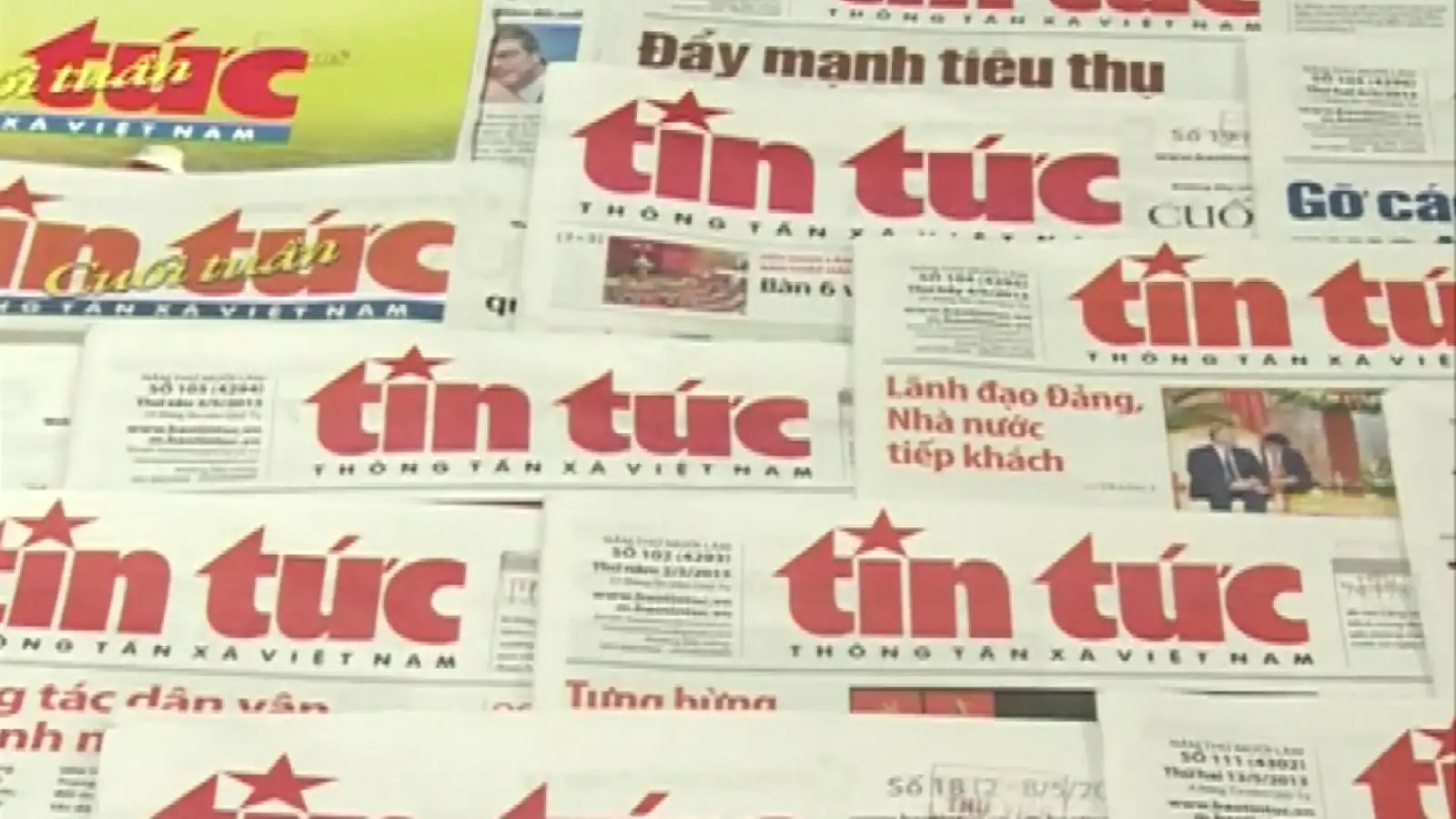 Khám Phá Bến Xe Thành Bưởi Nơi Khởi Đầu Hành Trình Của Bạn!